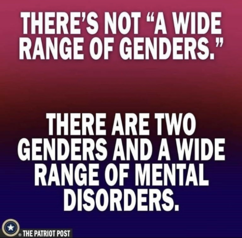 xephula_e4ae6d58fcdbd8e82c3efc689b25aacd