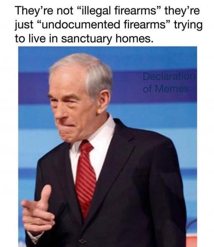 AA illegal firearms