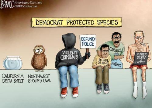 democrat protected species