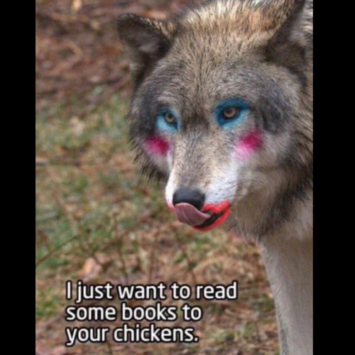 Drag Wolf2