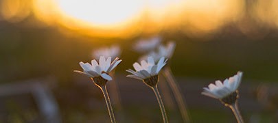 101622 - The Indwelling Christ