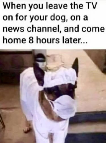 29DA4449-64BC-42AE-967D-D0B541751AC0