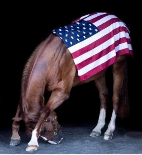 Flag - On a horse