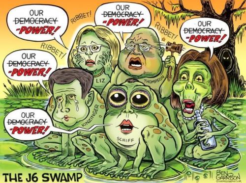 M J6 Swamp