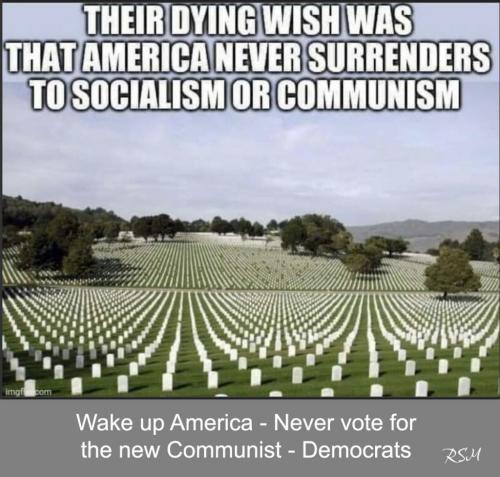 NewCommiesDimocrats