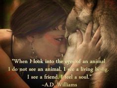 3AFEEC16-5F6F-43C8-B4D4-CDB668B70E40