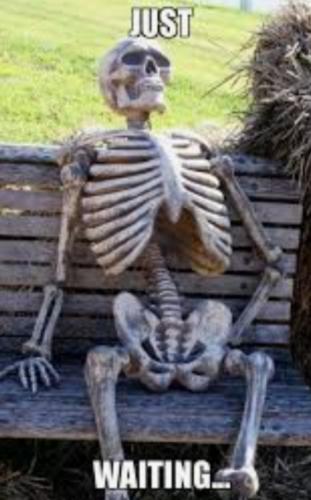 Screenshot_20221026-052055_Gallery