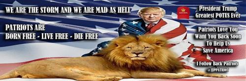 1-1-A-A-A-A_1-A-A-A-A-A-A-2020-A-A-A-A-A-BIDEN-A-MAGA-KING-HAT-TRUMP-8-1-HEADER
