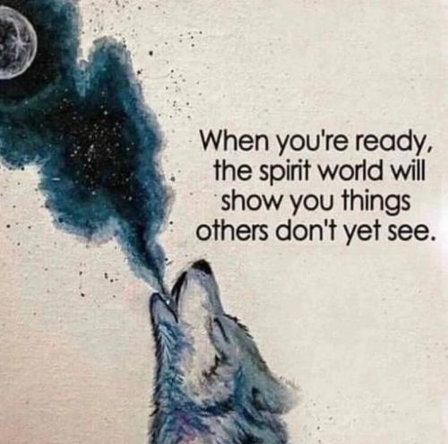 fbcafdfd-ad0d-4864-849c-6f901293c5fe