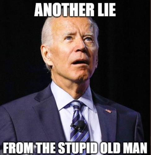 Stupid Biden