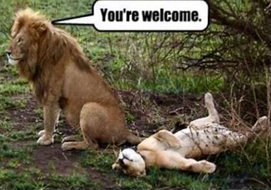 9EF047E9-CBFF-46DB-9BE9-C070B2C1727B