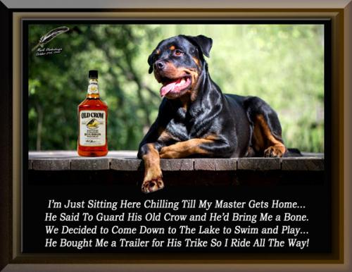 It's a Dogs Life ~Too~