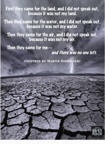 first they came