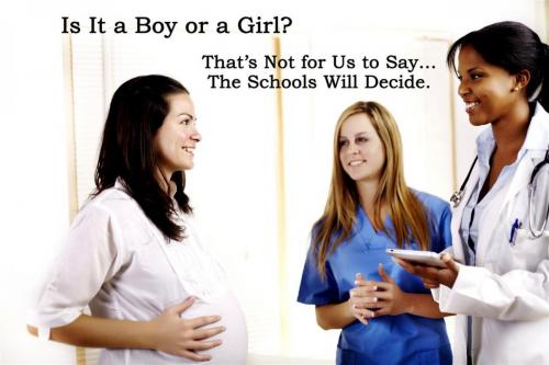Is It a Boy or a Girl