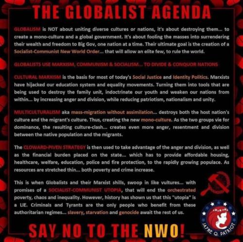 RO Globalist agenda