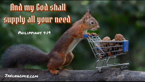 76809238-9359-4996-a92d-3f1111d8aab8