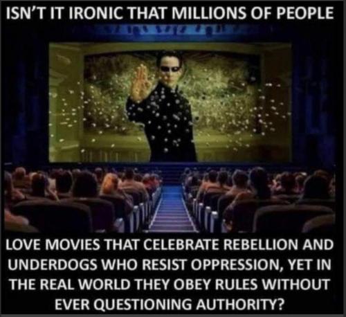 M rebellion