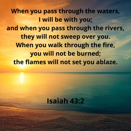 8EC88369A3927679EB583515F3A09B08.bible44-min