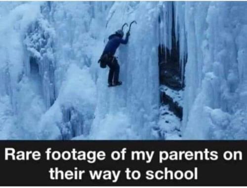 FB_IMG_1666226093438