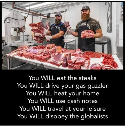 Screenshot_20221019-235219_Minds