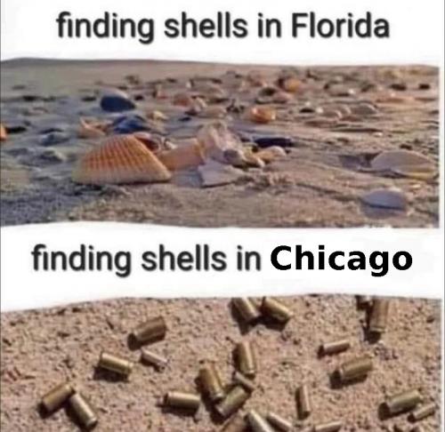 Shells