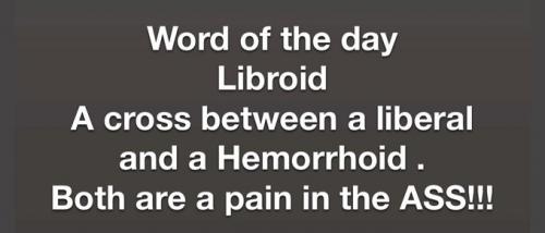 Libroid