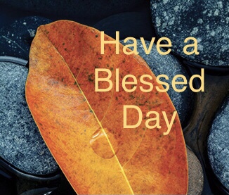 0DF561D3-CCB0-44D1-A22F-12F8A19238A5