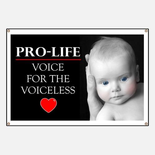 = PRO LIFE 3