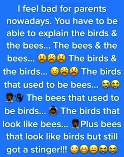 Birds n Bees