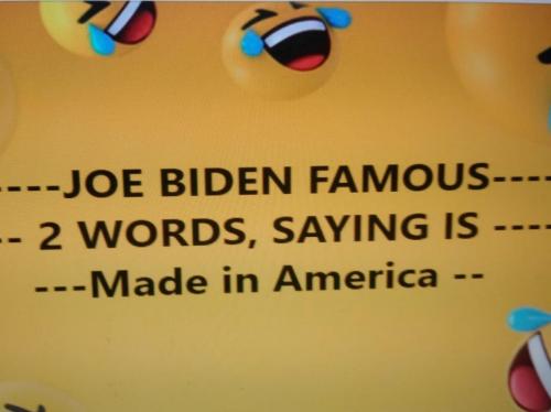 = STUPITIDY TO THE FULLEST