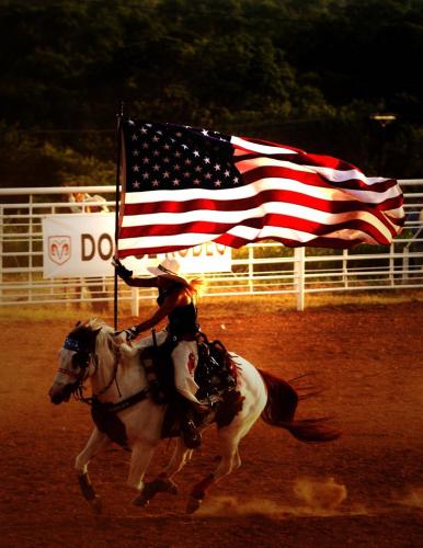 Flag - Rodeo rider