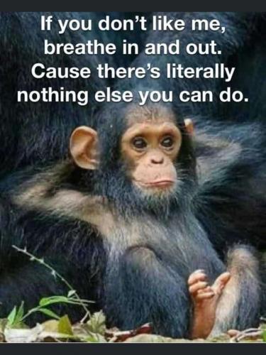 2d8a4cd9-0921-4f88-9421-e5fe5b66140f