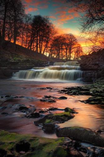 ed1e4706-b9ac-48bd-95e8-8b26ba4b3eb7