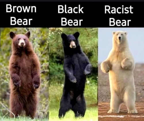 Can't Bear It Anymore