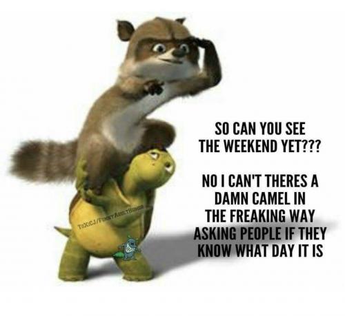 b5352d5f-2983-441d-b8f1-e8e3d55d82f6