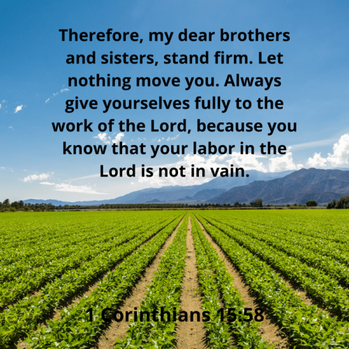 ec9b7155915a9465