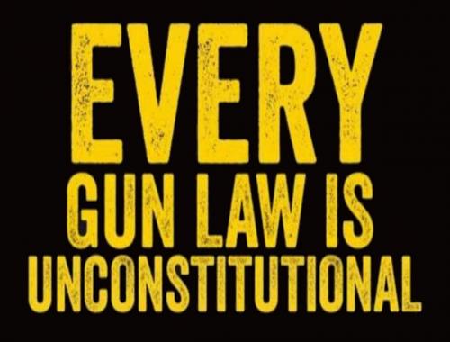USA gun law