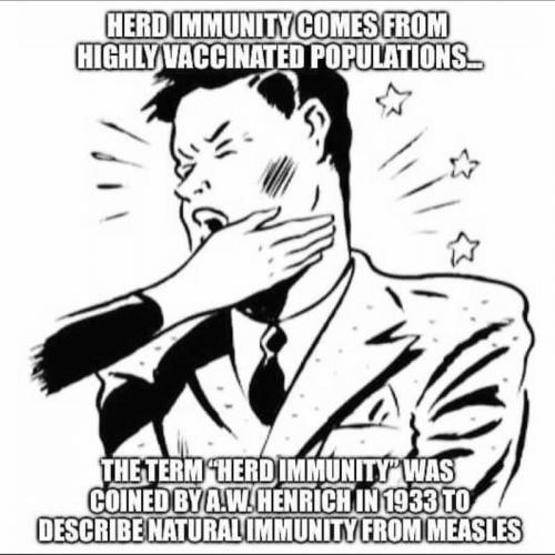 Herd