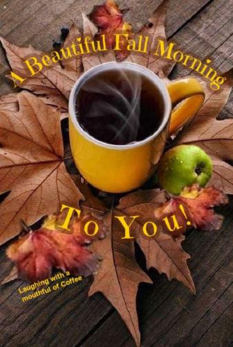 bd9e04ac-b9e8-4d01-8ce1-32dddb770c51