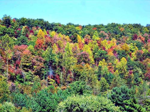 10369693_10202938136835451_8127424459690659874_n