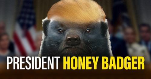 safe_image.php.jpgHONEY BADGER