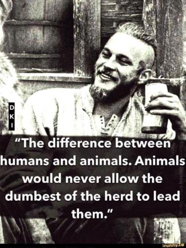 never allow
