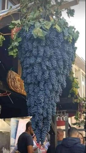 3f3080e8-aa14-4140-9137-e33478ad0ec5