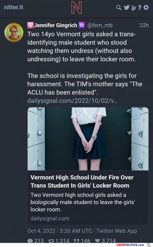 we-need-to-stop-this-madness