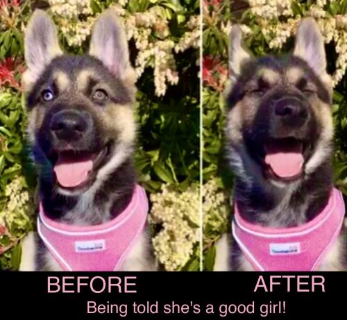 36B24D54-DCAF-4AC0-9885-CDD58E4AE657