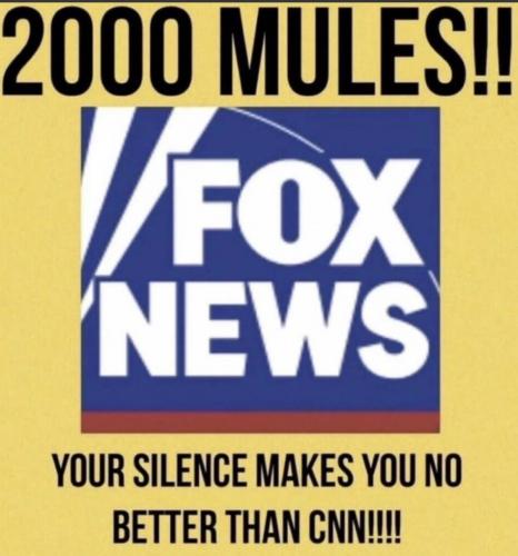 FOX silent 2000 mules