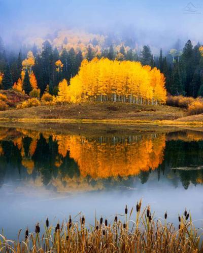 60e435e6-bc91-40bc-aa5b-c29f32c85d62