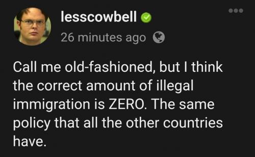 R Illegal immigration
