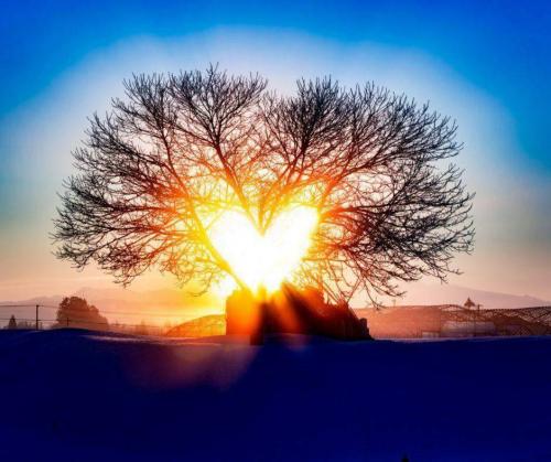 1143129e-3b0a-4931-8a2f-8d31897df874