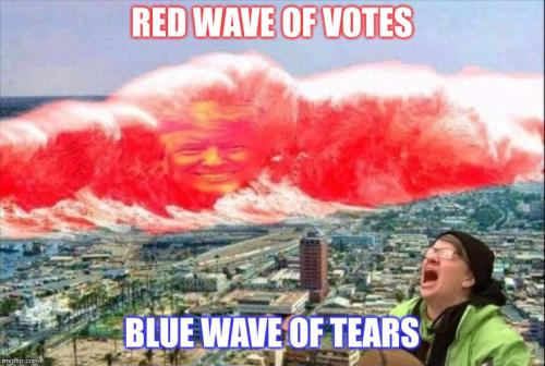 red-wave235